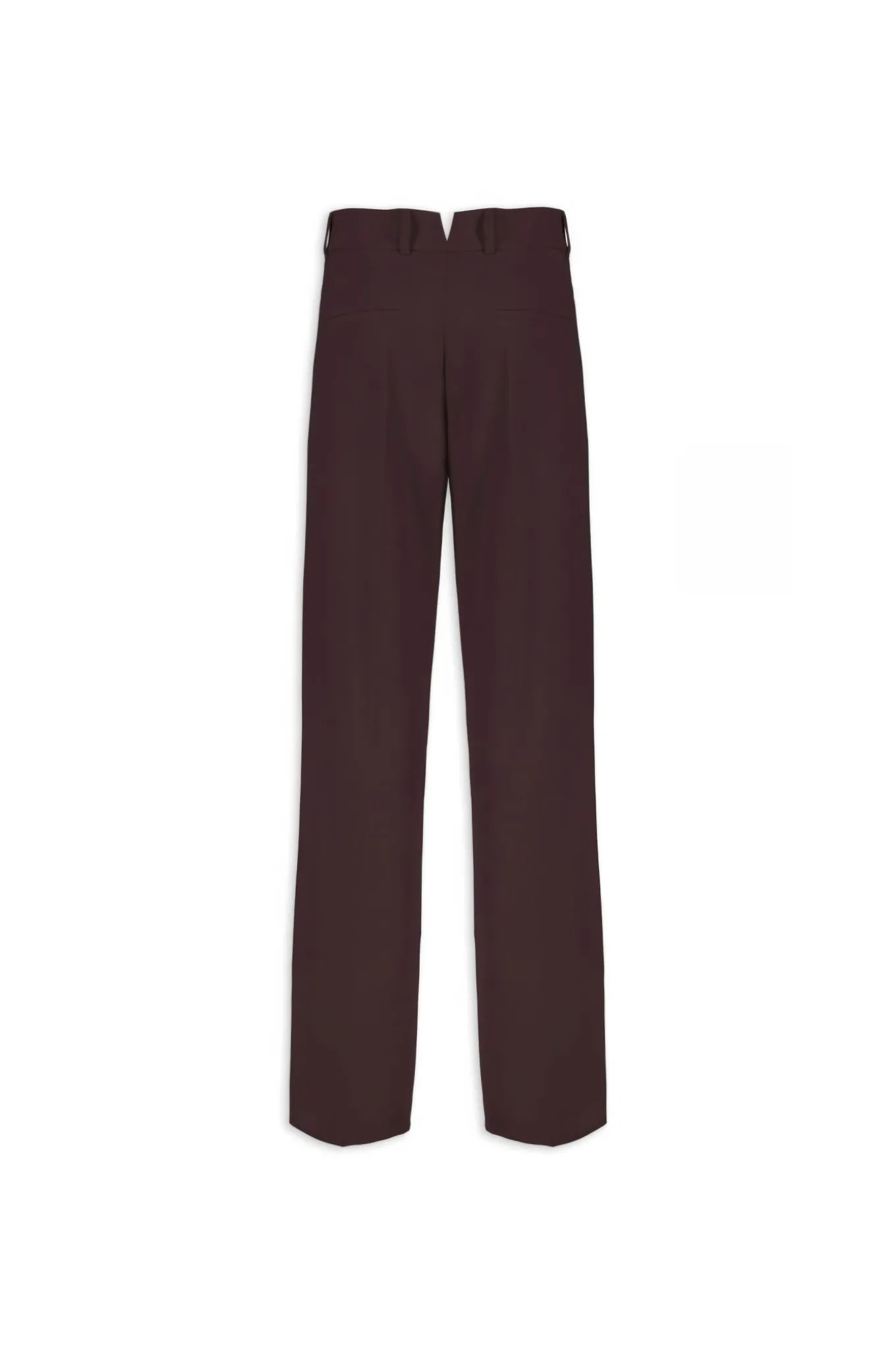 PANTA DANDY